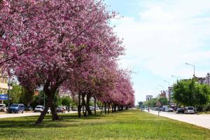 Antalya mayıs ayı ile yaz renklerine bürünüyor